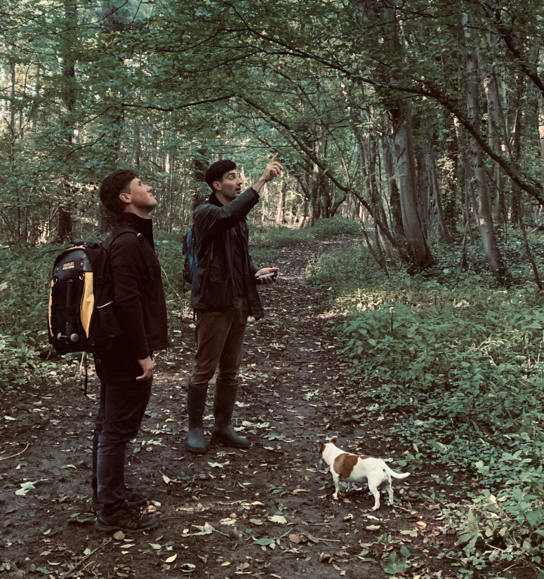Tree Surveys Grimsby by Waites