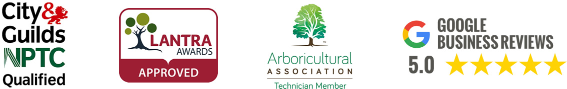 Tree Reports Grimsby